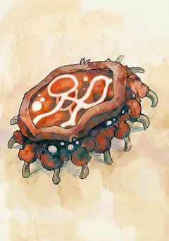 Card art: Plankton