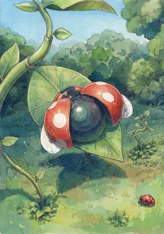 Card art: Ladybug